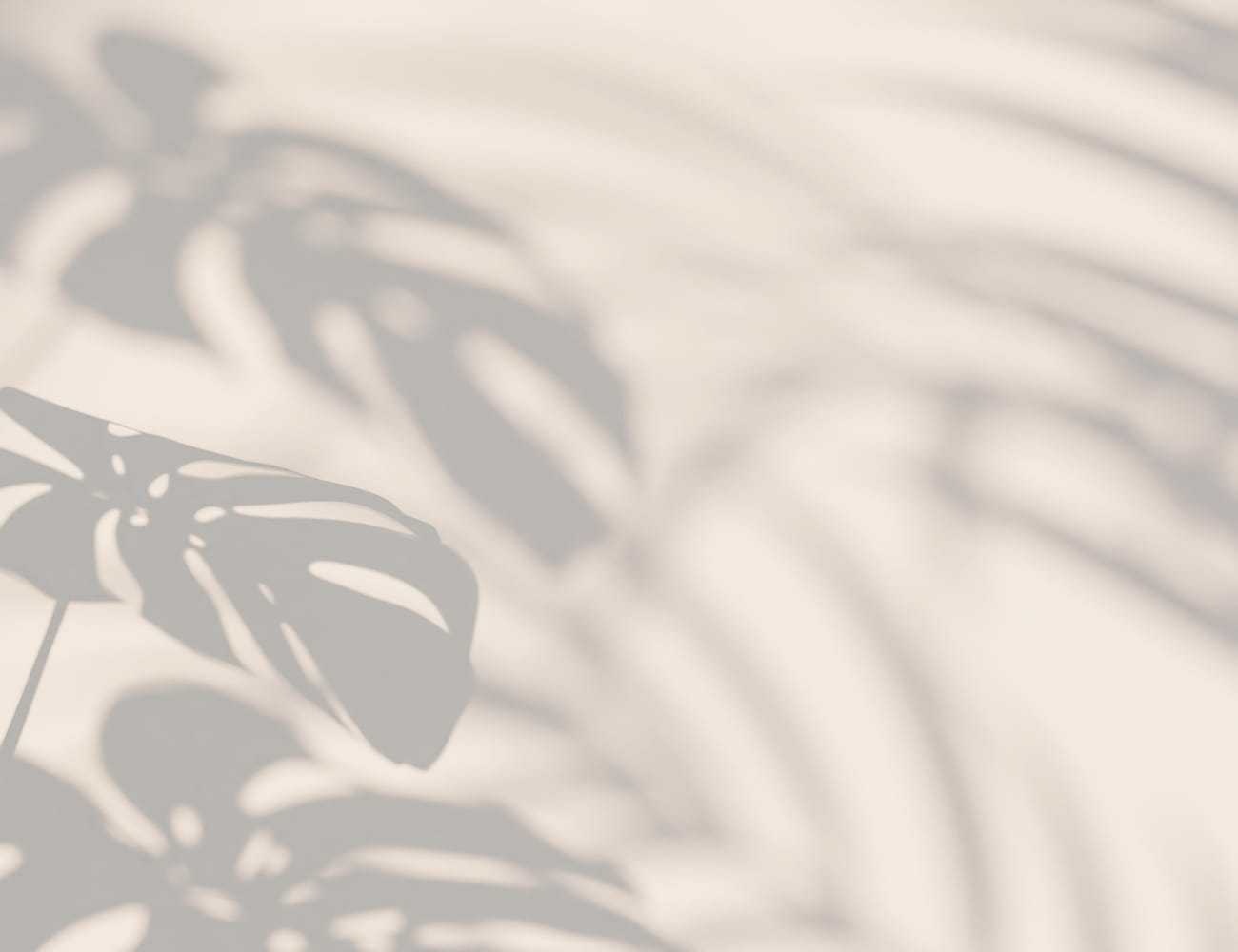 Shadow of tropical leaves on a light background, creating a calm, abstract pattern.